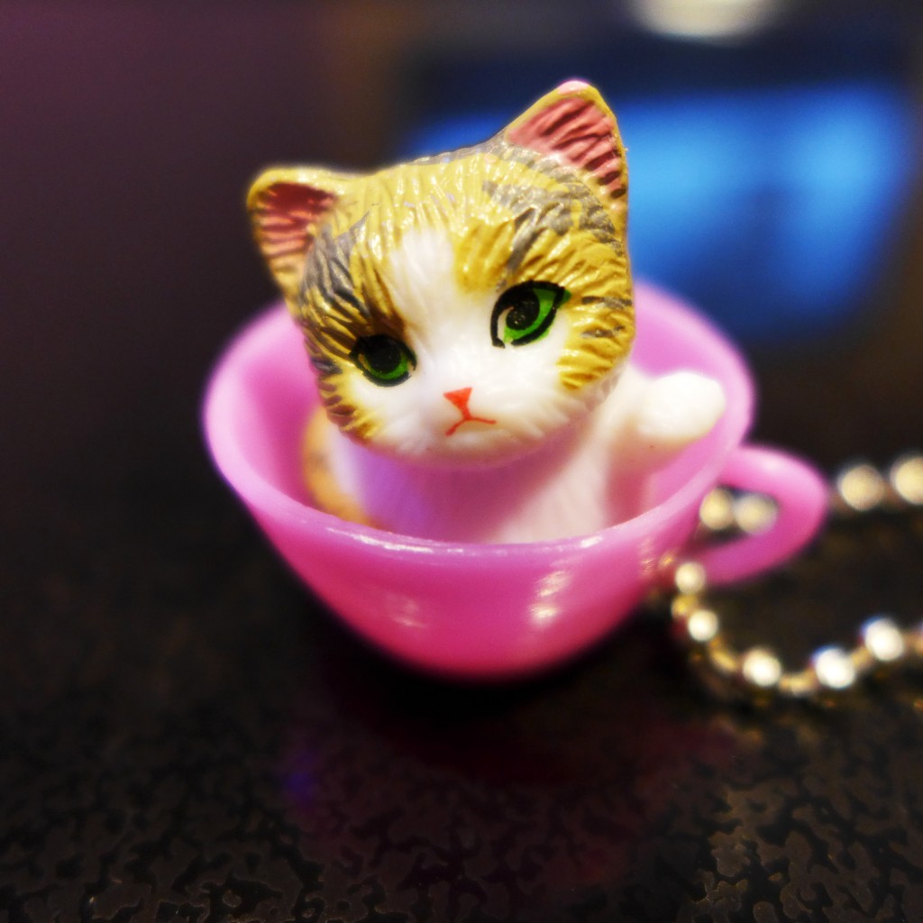 kitten in a cup